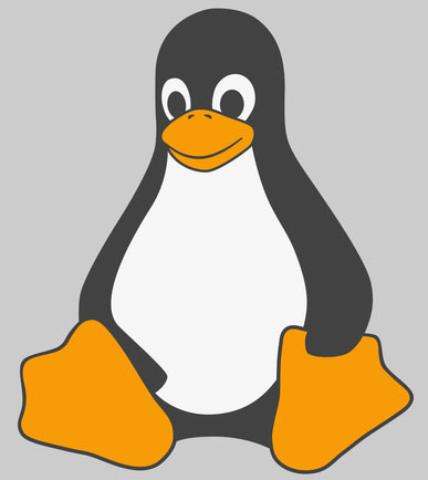 Krasnoyarsk Linux User Group